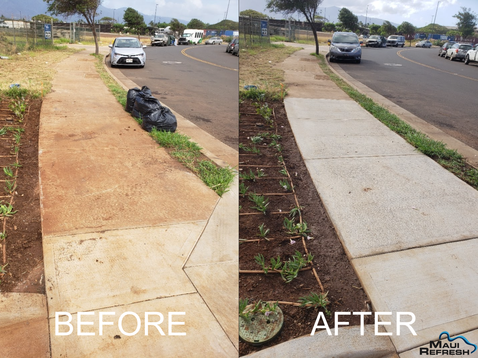 pressure washing sidewalk before after